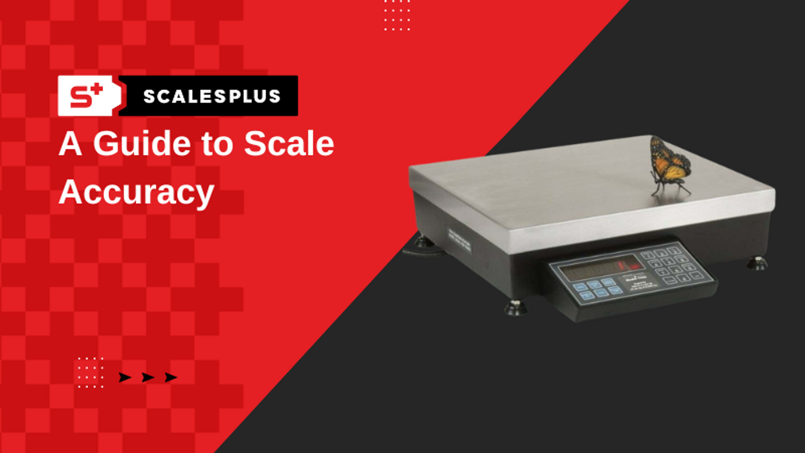 A Guide to Scale Accuracy Scales Plus