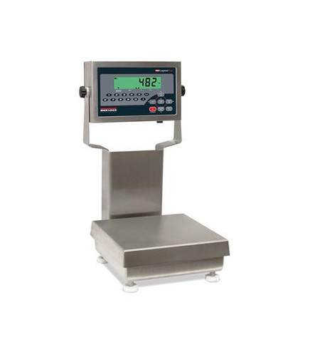 Rice Lake Weighing Systems Rice Lake Ready-n-Weigh Bench Scale CW-90B-482Plus-25, 12" x 12", 25 lb x 0.005 lb, NTEP Class III