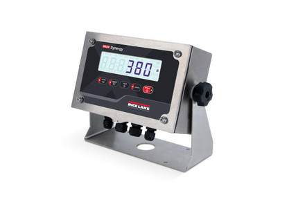 Rice Lake Weighing Systems Rice Lake 380X Synergy Series Washdown Indicator, NTEP 