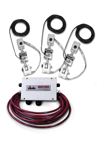 Rice Lake ITCMSS 1000 lb Modules, (3), 1/2-13 NC Threading, NTEP