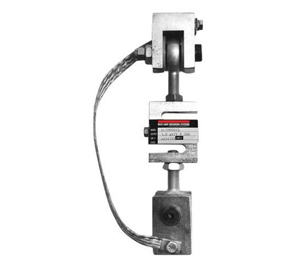Rice Lake ITCM Module 100 lb
