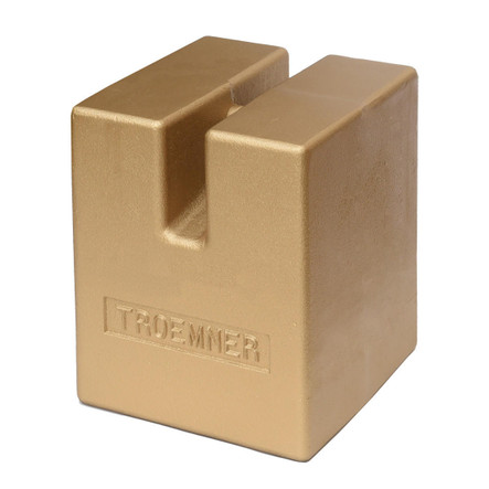 Troemner 100 kg Cast Iron Grip Handle Weight, Traceable Certificate, NIST Class F