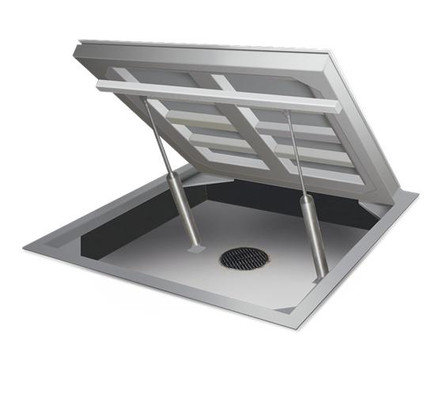 Rice Lake AutoLift HE Hostile Environment Stainless Steel Floor Scale