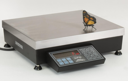 Pennsylvania Scale 7600-2-AO Bench Counting Scale w/ Analog Output Factory Installed, 2 lb x 0.0002 lb