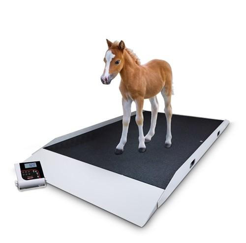 Rice Lake VS-40 Animal Scale