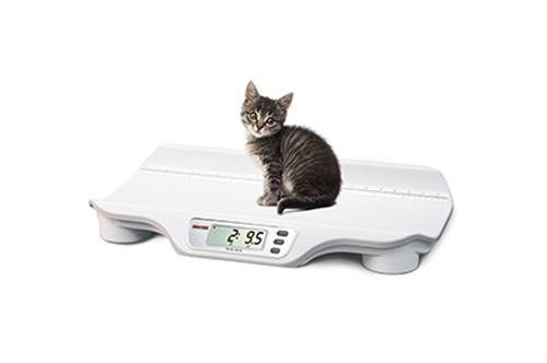 Rice Lake VS-10 Animal Scale