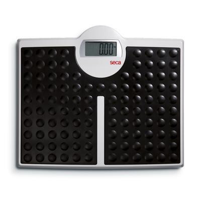 Seca 813 Digital Flat Scale top view