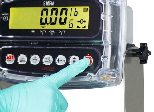 Cardinal Detecto 5852F-190 Portable Scale, 500 lb Capacity With 190 ...