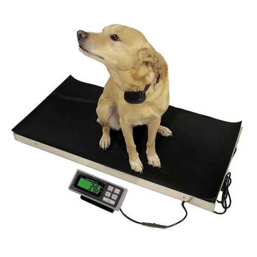 700 lb x 0.2 lb Vet scale Animal Scale Stowaway Scale Flush