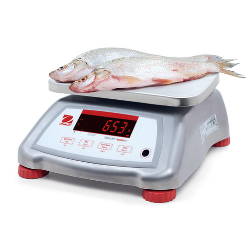 OHAUS Valor 4000 V41XWE6T Stainless Steel Food Scale, 15 lb x .002 lb, NTEP, Class III