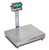 Detecto Cardinal Detecto EB-300-185B Rival Series Bench Scale, 24 x 20, 300 lb x 0.1 lb, NTEP