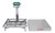 Detecto Cardinal Detecto EB-300-185B Rival Series Bench Scale, 24 x 20, 300 lb x 0.1 lb, NTEP