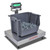 Detecto Cardinal Detecto EB-300-185B Rival Series Bench Scale, 24 x 20, 300 lb x 0.1 lb, NTEP