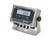 Rice Lake Weighing Systems Rice Lake 380 Synergy Series Indicator, Battery Powered, NTEP
