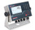 Rice Lake Weighing Systems Rice Lake 682 Synergy Series Digital Weight Indicator, 115-230 VAC, NTEP Class III/IIIL