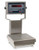 Rice Lake Ready-n-Weigh Bench Scale CW-90B-480Plus