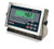 Rice Lake 482 Legend Plus Indicator