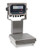 Rice Lake Weighing Systems Rice Lake Ready-n-Weigh Bench Scale CW-90XB-380-10, 10" x 10", 10 lb x 0.002 lb, NTEP Class III
