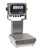 Rice Lake Ready-n-Weigh Bench Scale CW-90XB-380-100