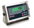 Rice Lake Weighing Systems Rice Lake Ready-n-Weigh Bench Scale CW-90XB-482