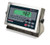 Rice Lake Weighing Systems Rice Lake Ready-n-Weigh Bench Scale CW-90XB-482Plus-10, 10" x 10", 10 lb x 0.002 lb, NTEP Class III