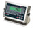 Rice Lake Weighing Systems Rice Lake Ready-n-Weigh Bench Scale CW-90XB-482PPlus
