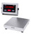  Doran 7025XL Stainless Steel Bench Scale, 10"x10" Platform, 25 lb x 0.005 lb, NTEP 