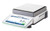 Mettler Toledo MX8001 Precision Balance