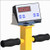 Pennsylvania Scale M6376-2424-1K-indicator