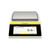 Sartorius QTX3201IRO-1S Precision Balance