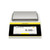 Sartorius Quintix Pro QTX4202IMO-1S Precision Balance