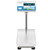 Adam Equipment BTT 150 Touch-Screen Label Printing Scale