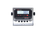 Rice Lake RoughDeck Rough-n-Ready System Indicator