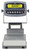 Detecto Cardinal Detecto Admiral CA12-120W-190 Washdown Stainless Steel Bench Scale, 120 lb x 0.05 lb