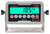 Cardinal Detecto 185B Rival Digital Indicator, NTEP (straight on)