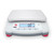 OHAUS NVT6200 Navigator Portable Balance, 6200 g x 1 g