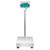 Adam Equipment GGF 165a Gladiator Washdown Scale Front View