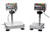 A&D Weighing FS-30KiN Washdown Checkweighing Scale, NTEP, Class III