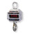 MSI-9300 30,000 lb Crane Scale, NTEP, Class III L