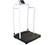 Rice Lake Weighing Systems Rice Lake 250-10-2BLE Bariatric Handrail Scale w/ Bluetooth, 1000 lb x 0.2 lb