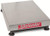 OHAUS D150VL Defender 3000 Washdown Scale Base, 300 lb x 0.05 lb, 21.6" x 16.5", NTEP