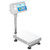 Adam Equipment BCT 130a Advanced Label Printing Bench Scale