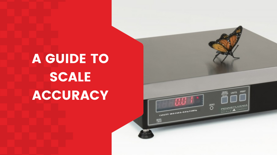 A Guide to Scale Accuracy Scales Plus