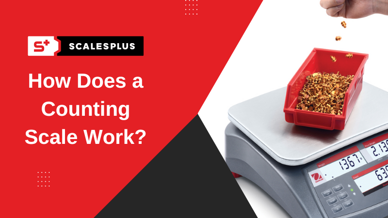 Computer Scale Work How Does a Counting Scale Work? - Scales Plus