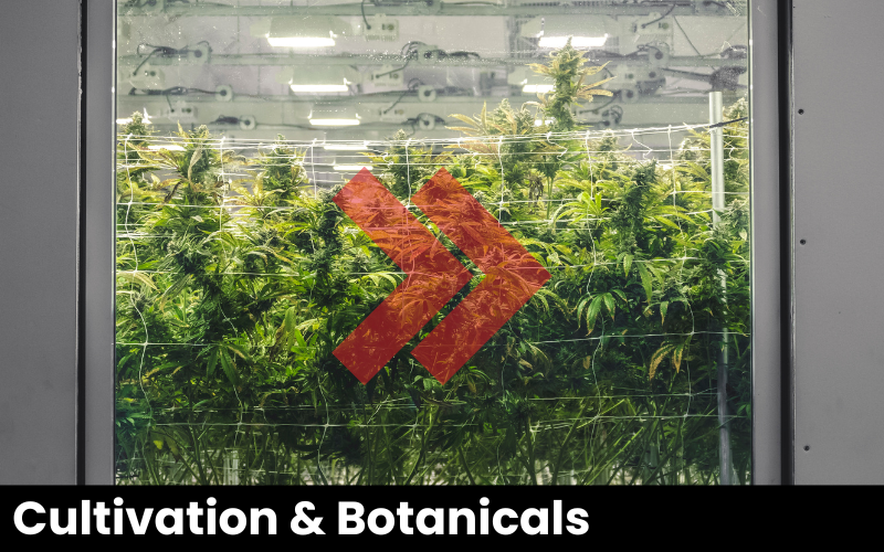 weighing cannabis and botanicals
