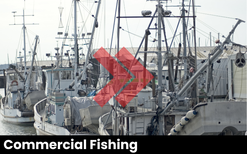 weighing in the commercial fishing industry