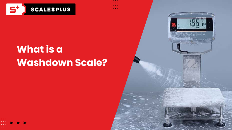 What is a Washdown Scale?