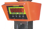 ANYLOAD OCSZ crane scale display