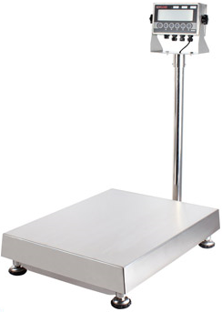 Anyload TNS-FP3 Stainless Steel Bench Scale Package