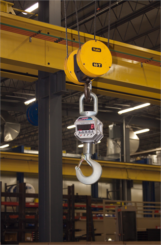 MSI-4260B 500 lb Port-A-Weigh Crane Scale in use